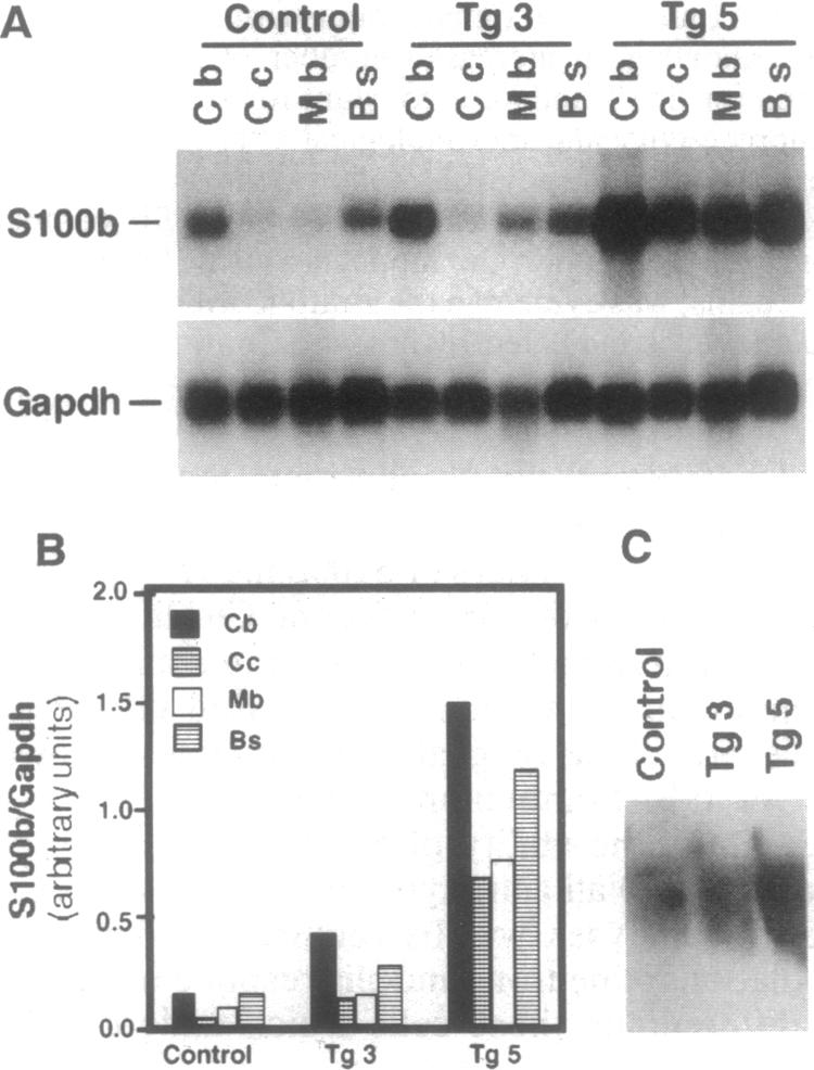 graphic file with name pnas01134-0152-a.jpg