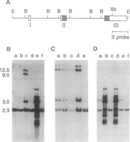 graphic file with name pnas01134-0151-a.jpg