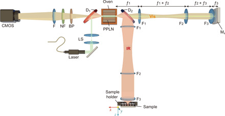 Fig. 1