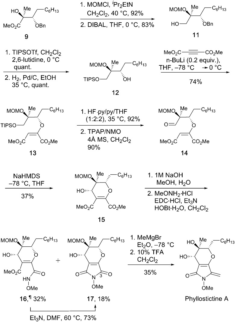 Scheme 3