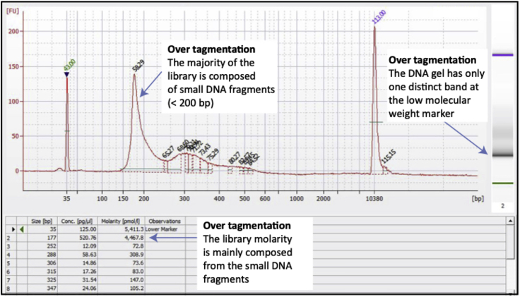 Figure 5