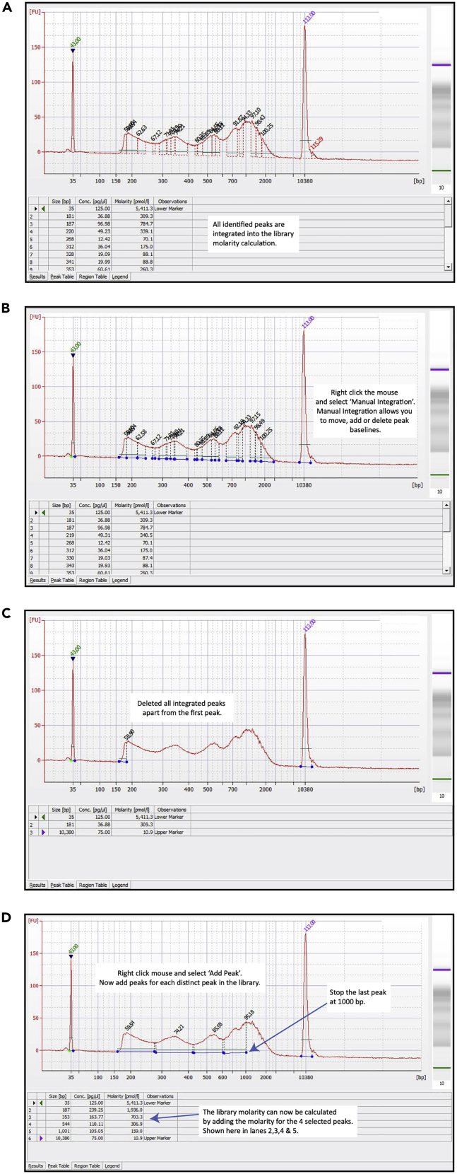 Figure 2