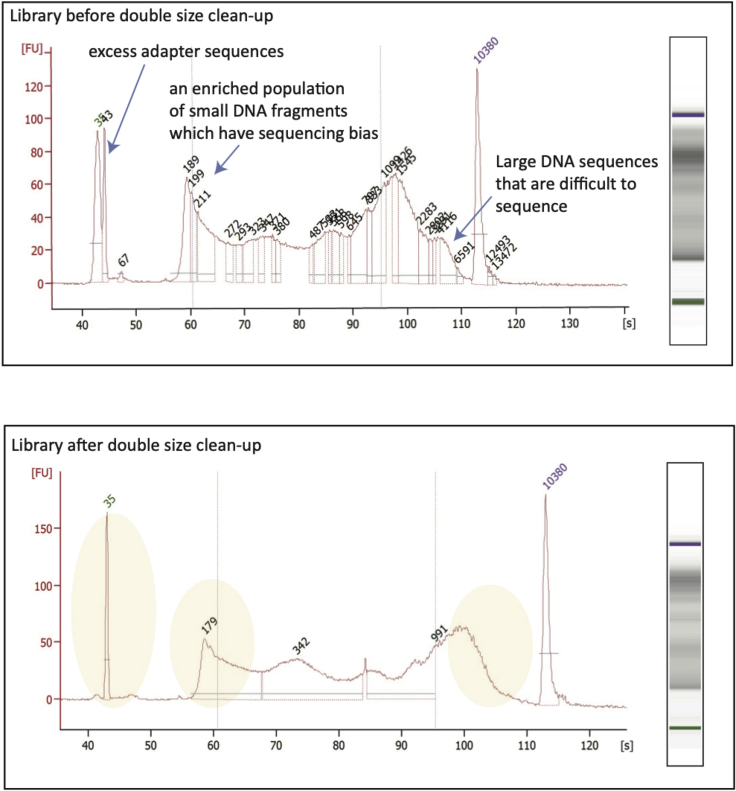 Figure 4