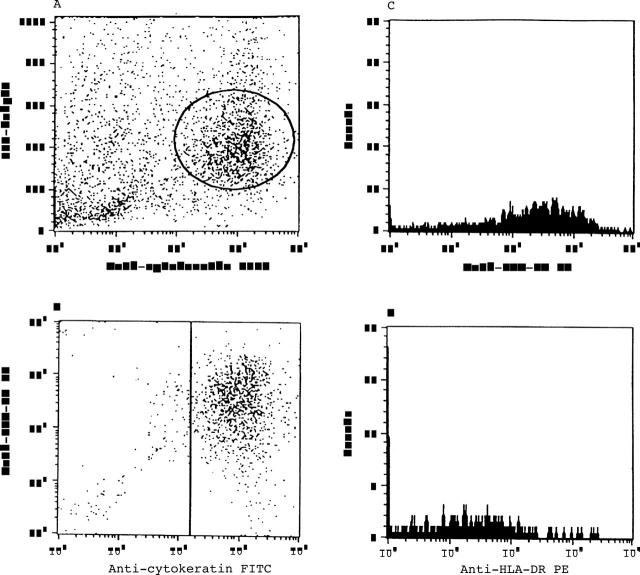 Figure 1  