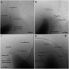 Fig. 3.