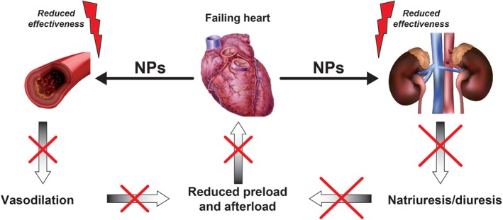 EJHF-656-FIG-0002-c