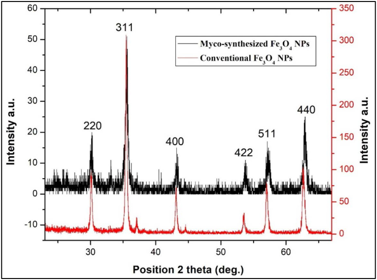 Fig. 7