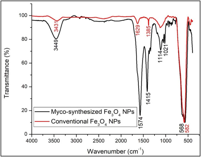 Fig. 10