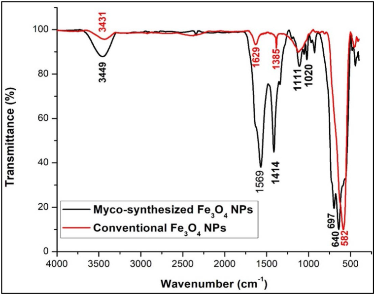 Fig. 11