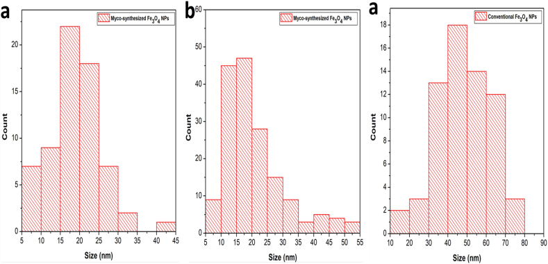 Fig. 13