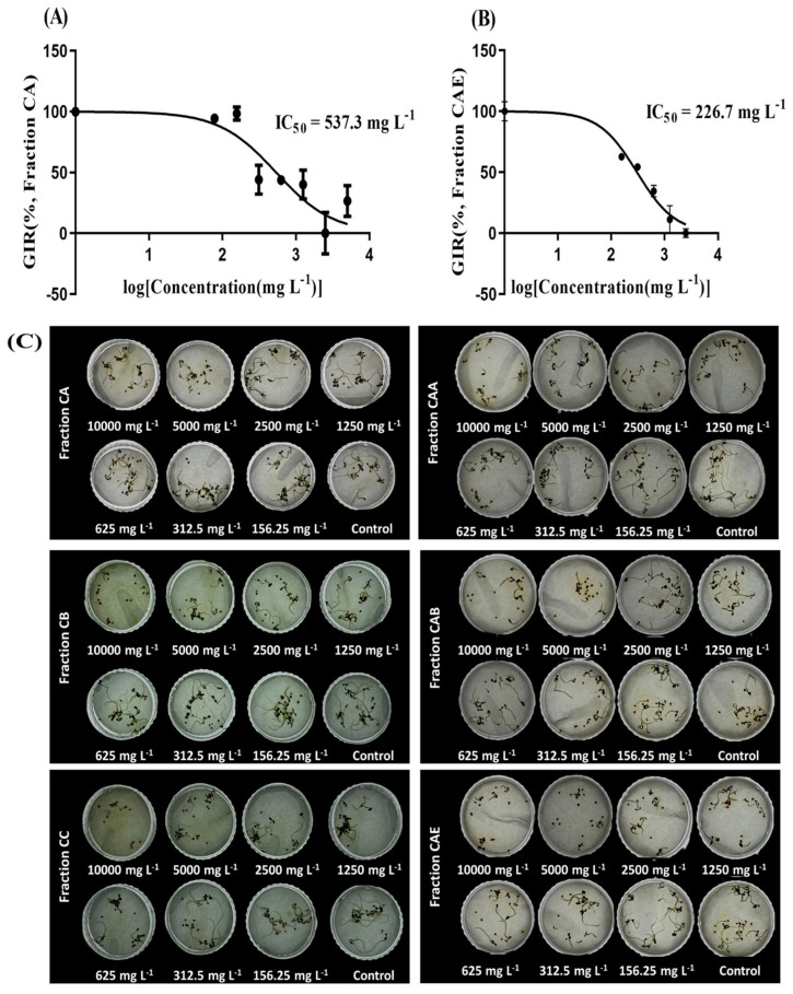 Figure 10