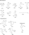 Fig. 7