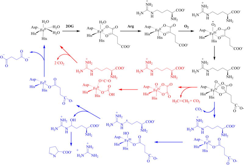 Scheme 4