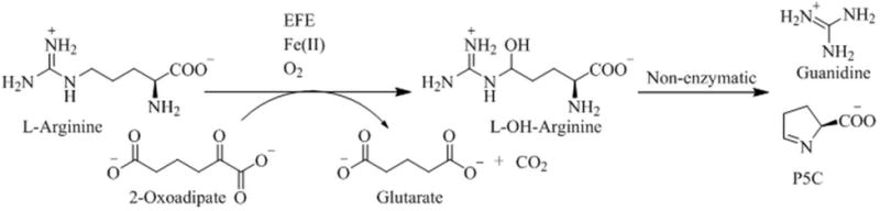 Scheme 3