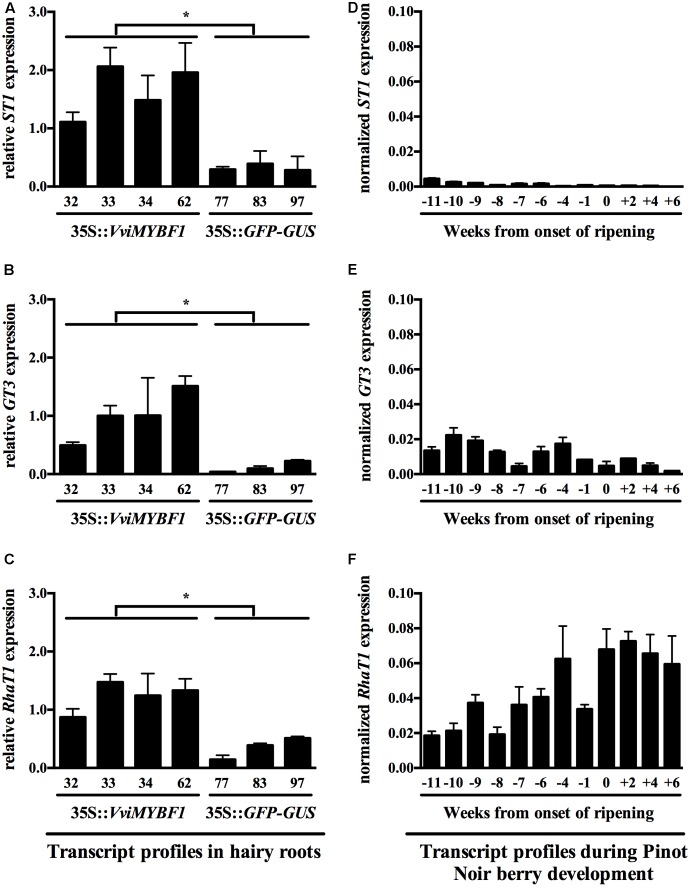 FIGURE 4