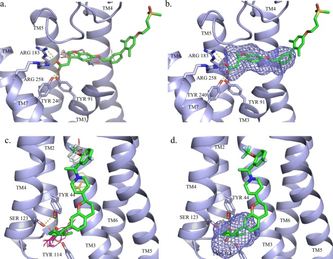 Figure 4