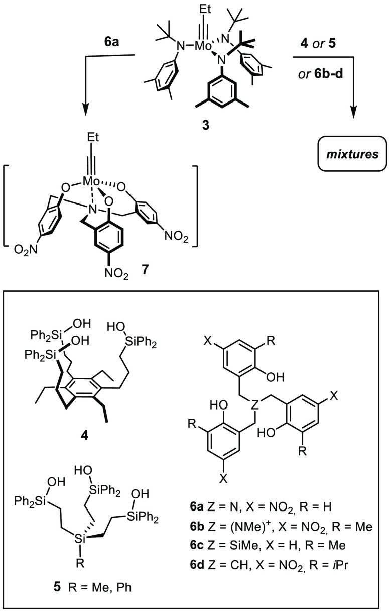 Scheme 2