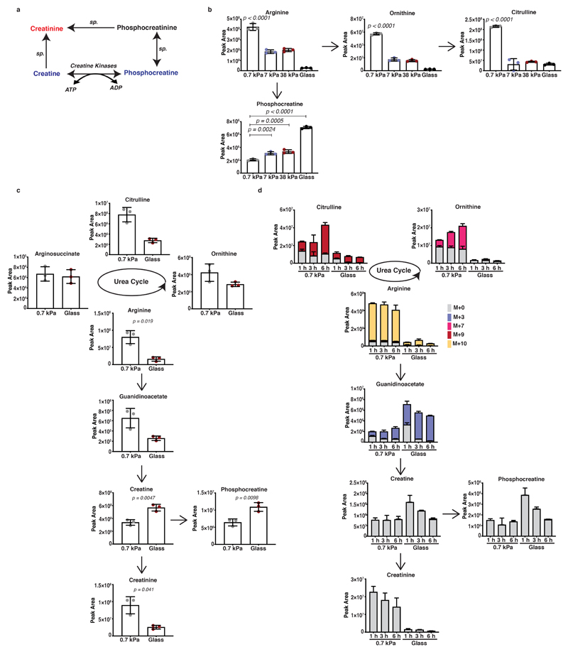 Extended Data Fig. 2