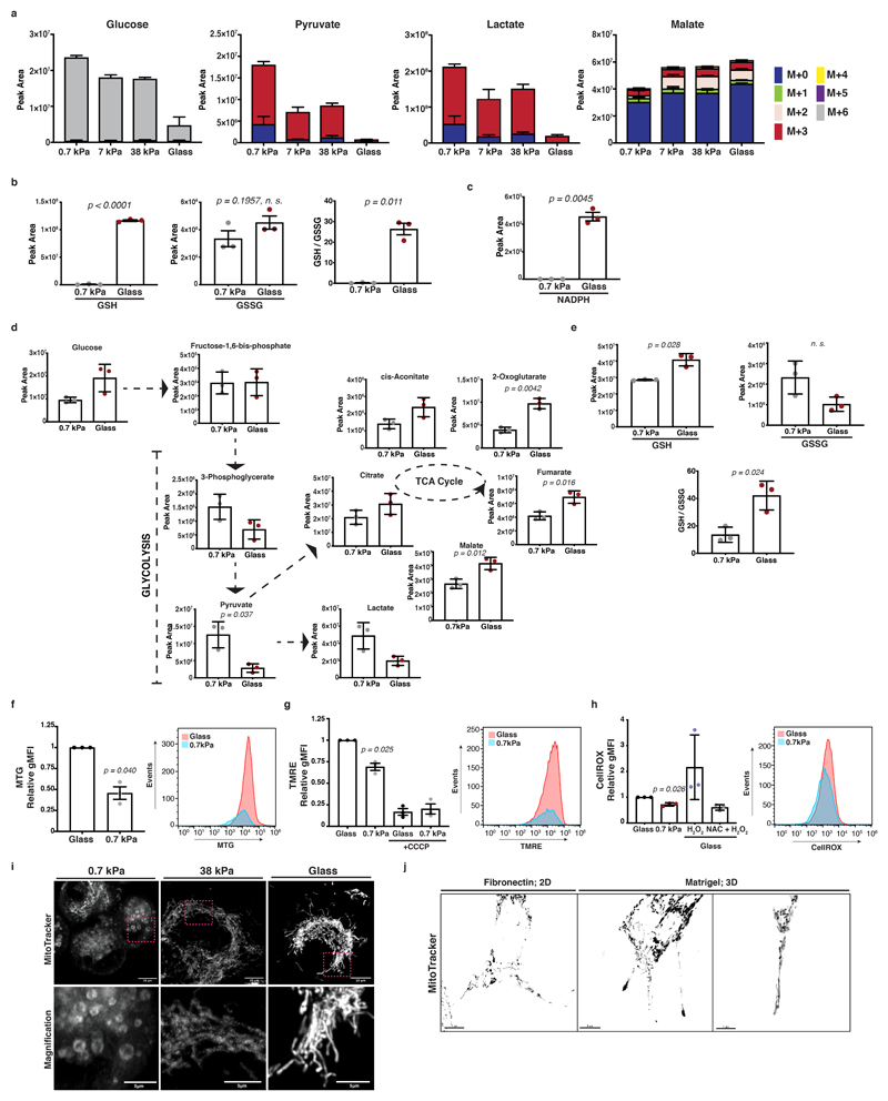 Extended Data Fig. 3