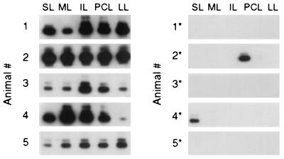 FIG. 7