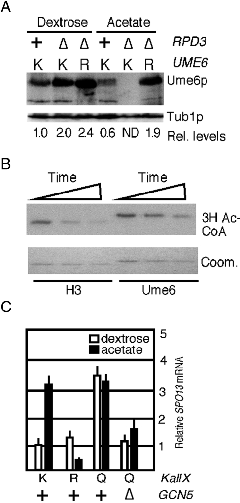 FIGURE 4: