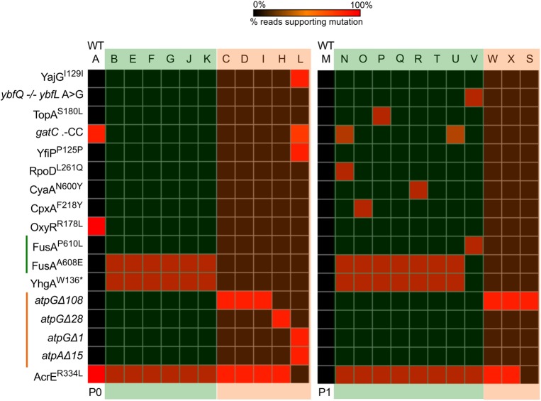 Figure 4.