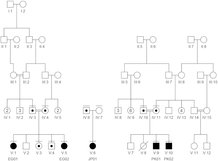 Figure 1