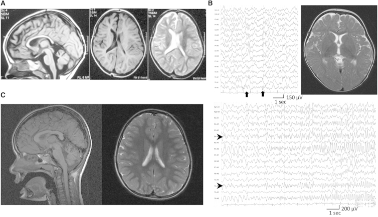 Figure 2