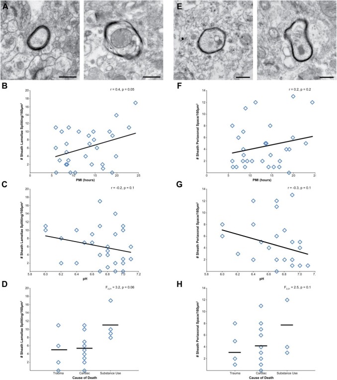 Figure 10.