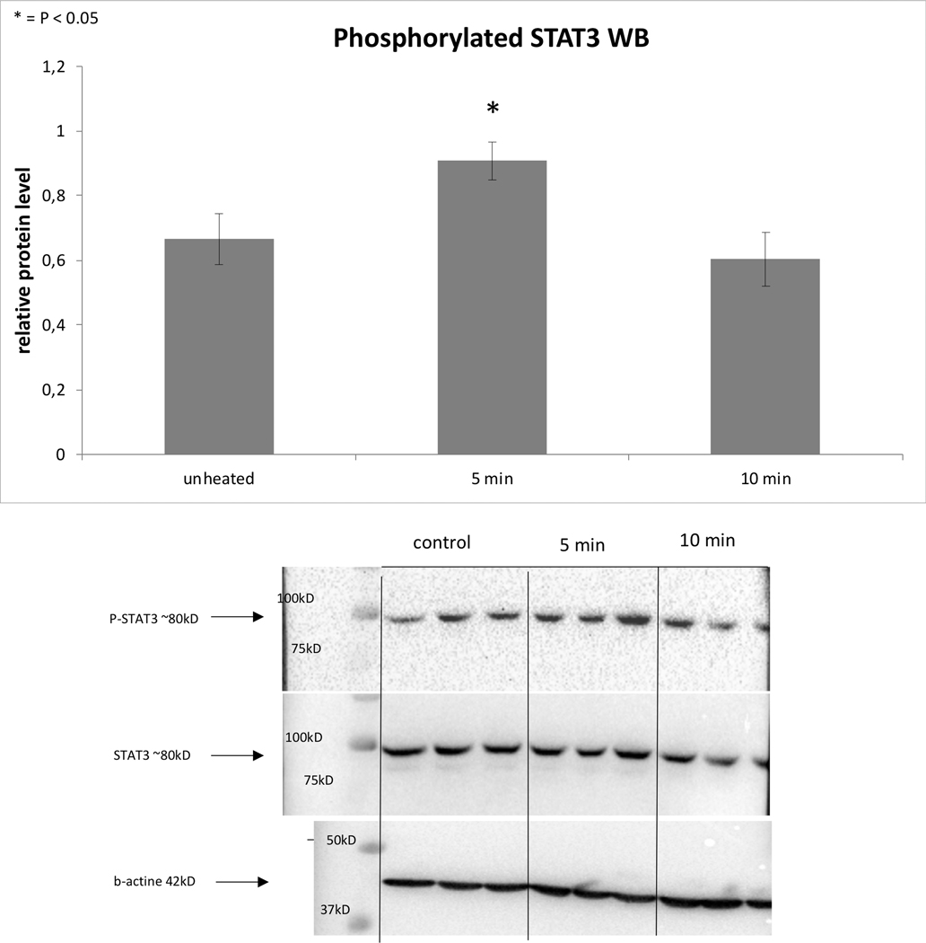 Figure 3: