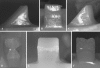 Fig. 3A–F