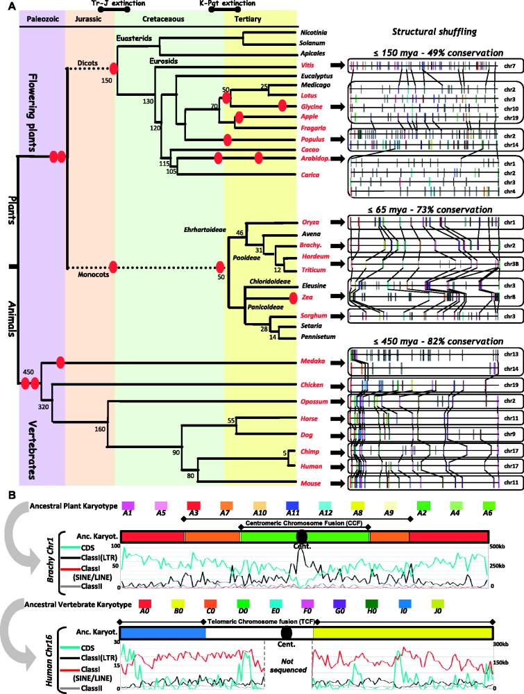 Fig. 2.—