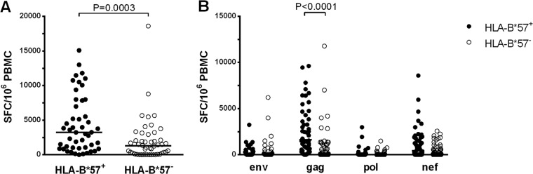 FIG 1