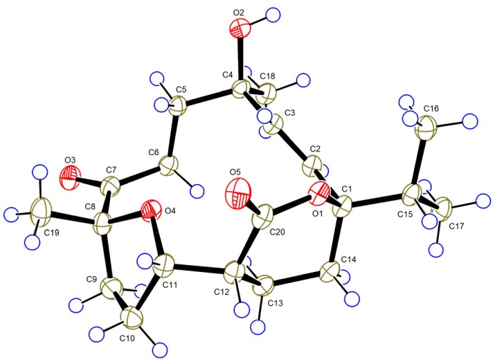 Figure 7