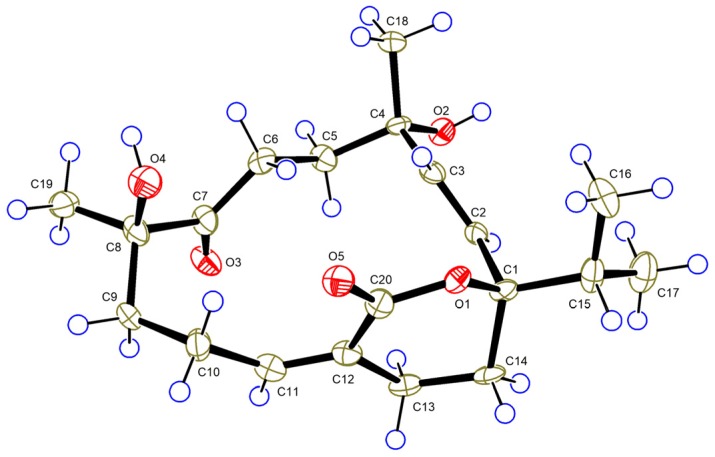 Figure 6