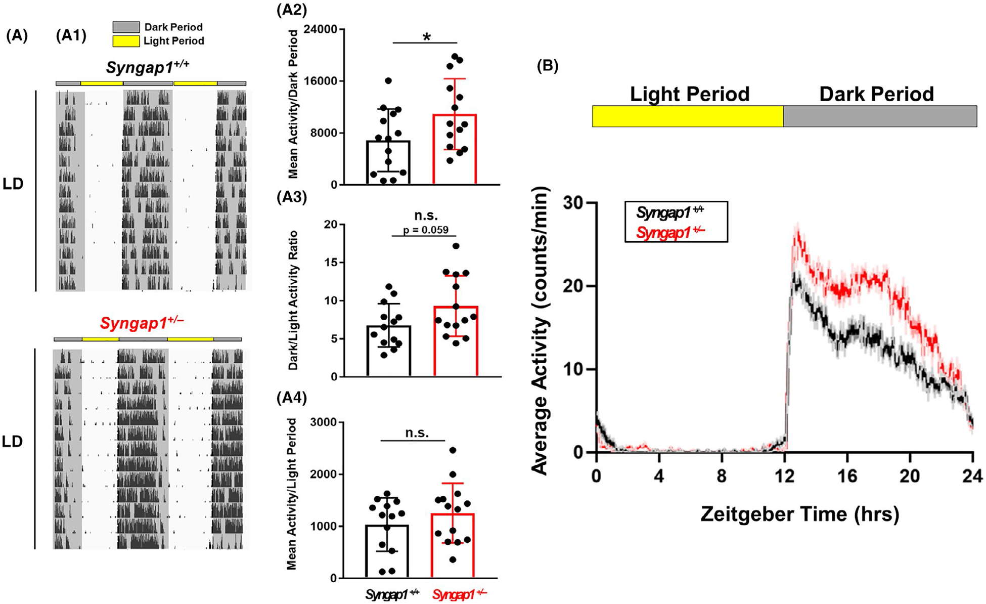 FIGURE 4