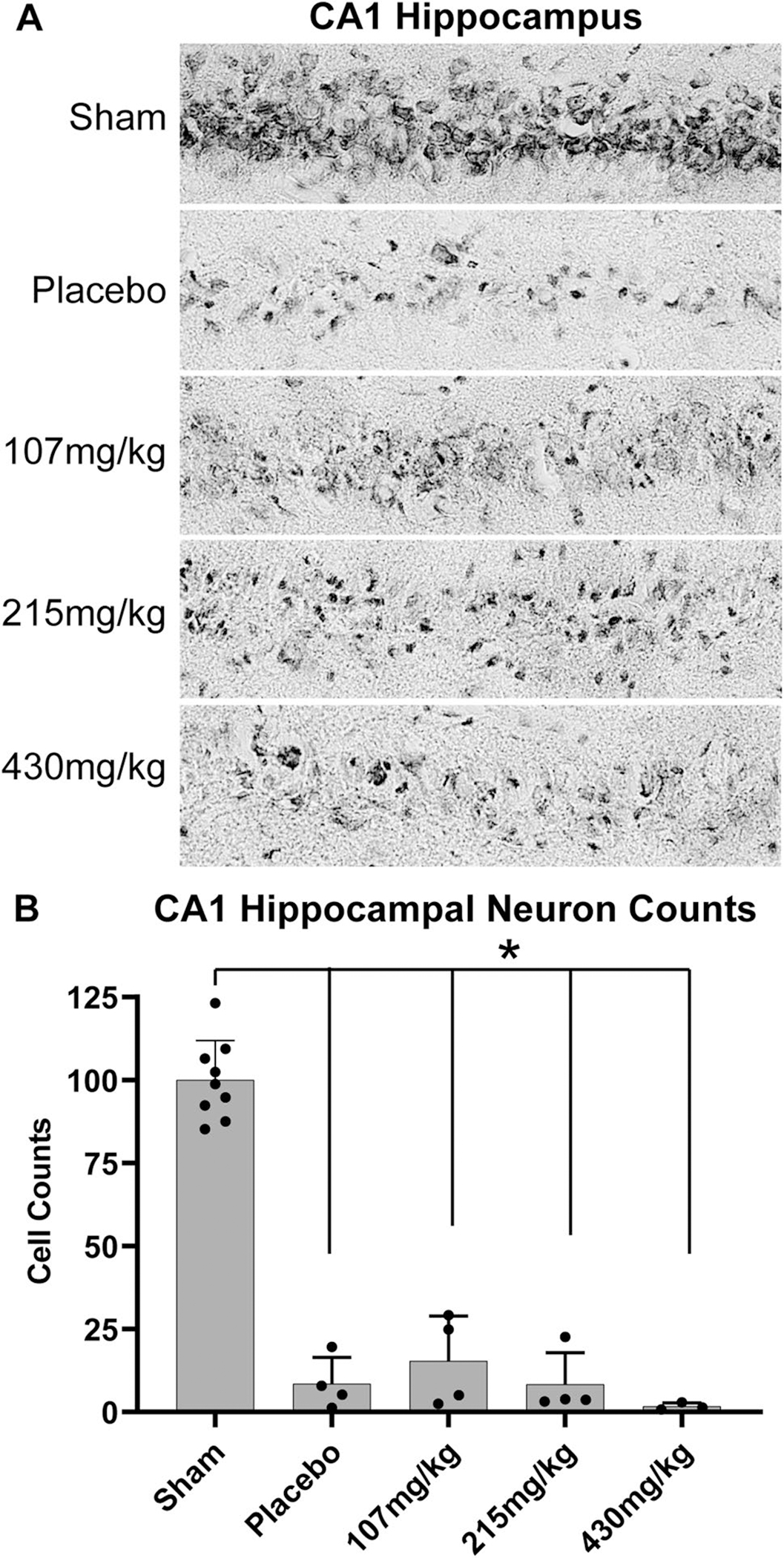 Rapid Treatment with Intramuscular Magnesium Sulfate During ...