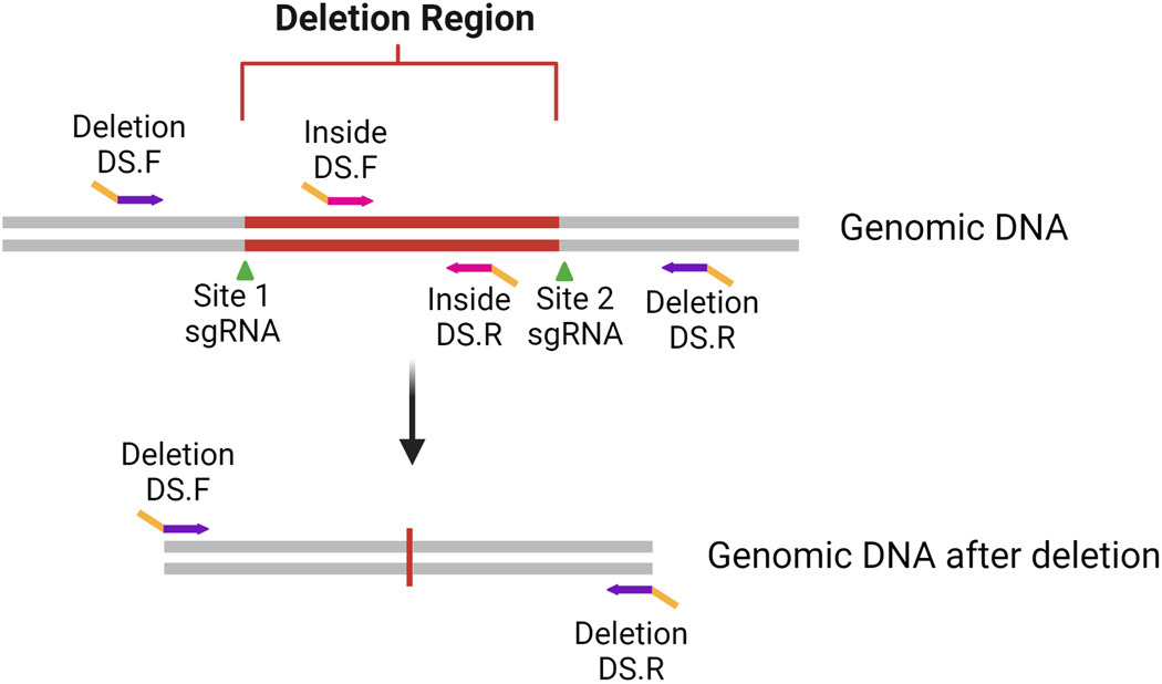 Figure 3: