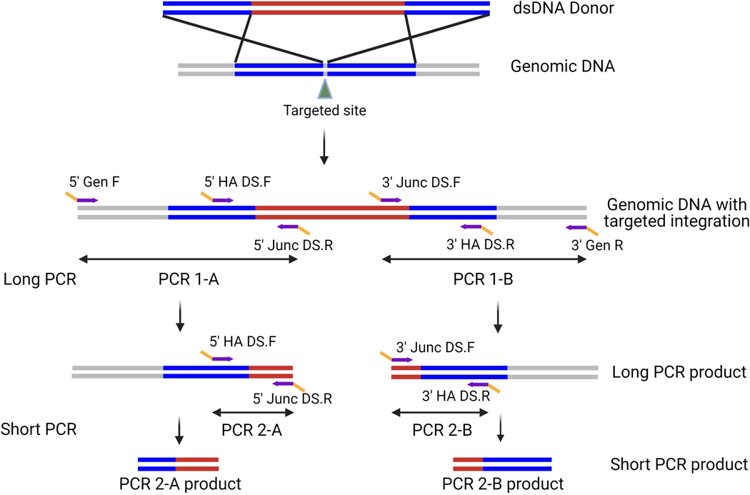 Figure 5: