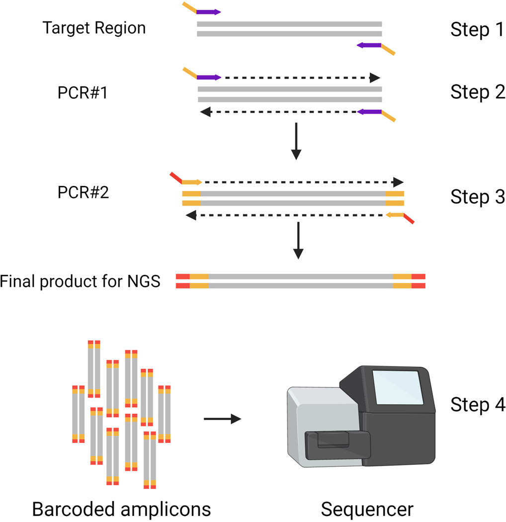 Figure 1: