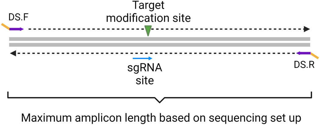 Figure 2: