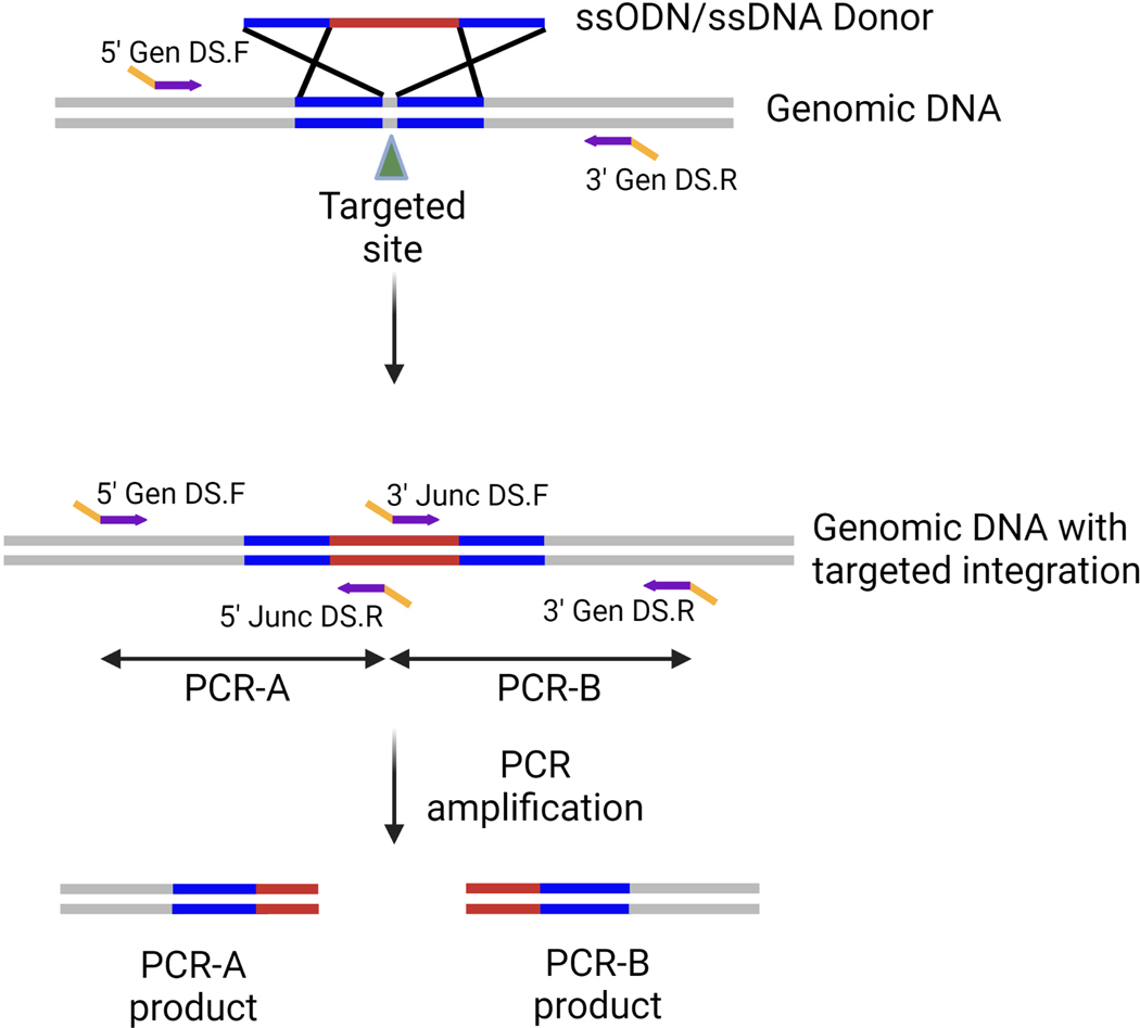 Figure 4: