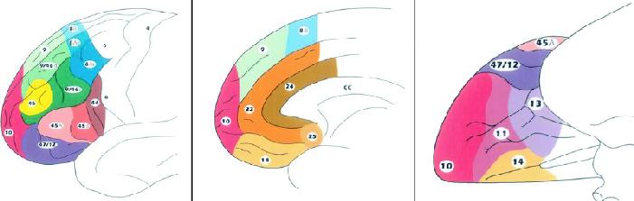 graphic file with name 3FF2.jpg