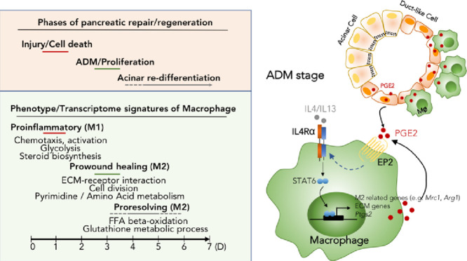 Image, graphical abstract