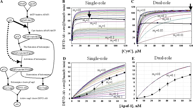 Fig. 3