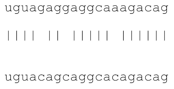 graphic file with name viruses-12-00614-i008.jpg