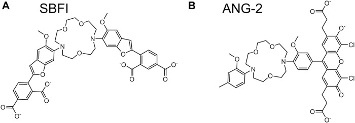 FIGURE 7