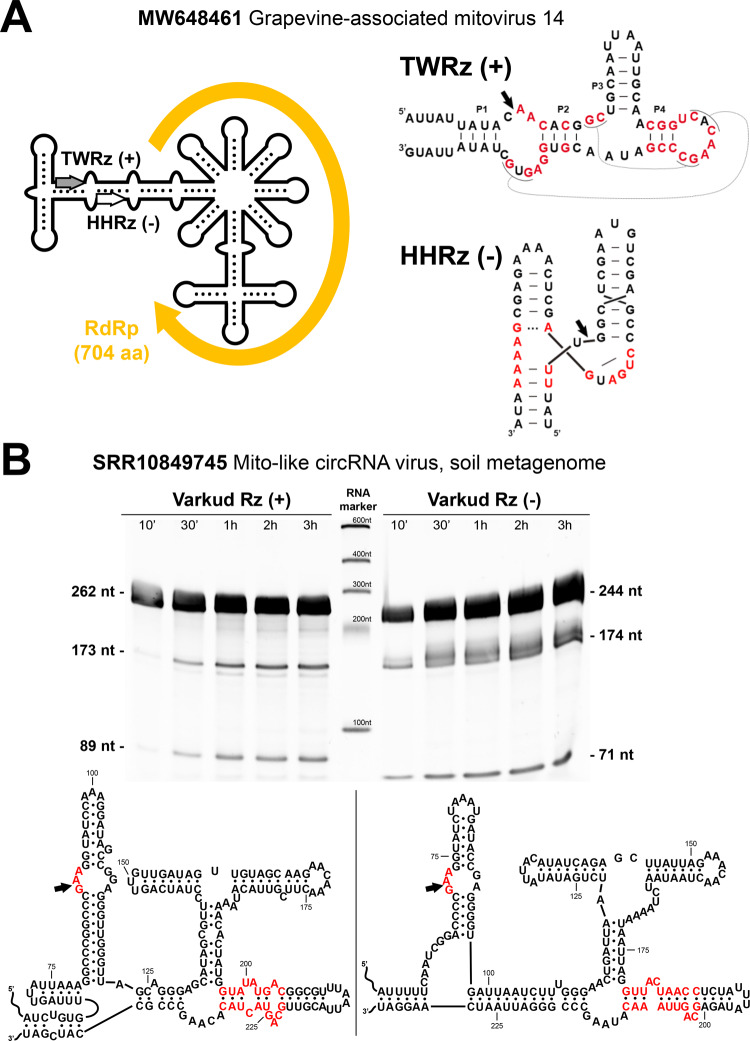 Fig. 4