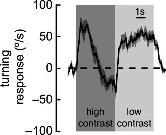 Figure 5—figure supplement 1.