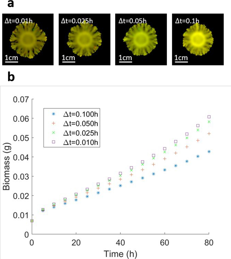 Extended Data Figure 1.